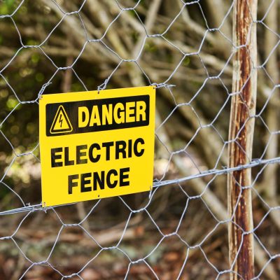 Danger sign hung from the electric fence with the trees in the background A danger sign hung from the electric fence with the trees in the background